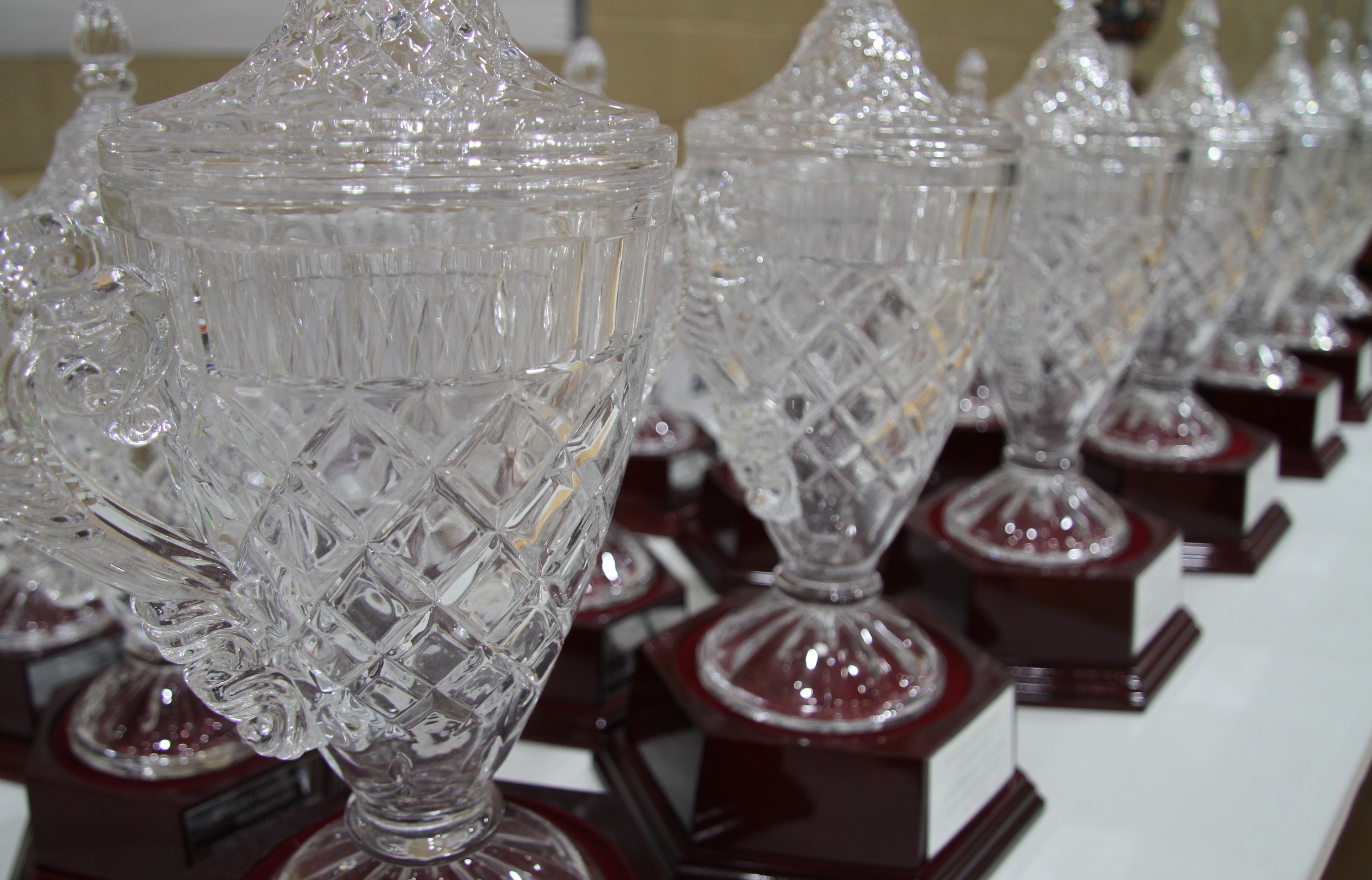 International Slingshot Day! Slingshot World